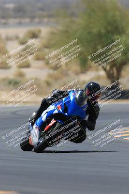 media/May-14-2023-SoCal Trackdays (Sun) [[024eb53b40]]/Turn 5 Tree of Life (1125am)/